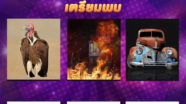 Notícia Free Fire: Novo Pet Urubu em Free Fire? Teoria sem confirmação