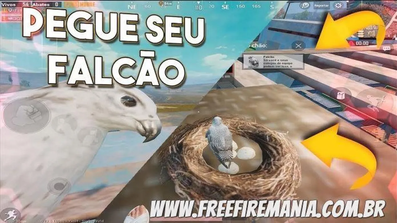 Falcão Free Fire: confira o Pet que voa