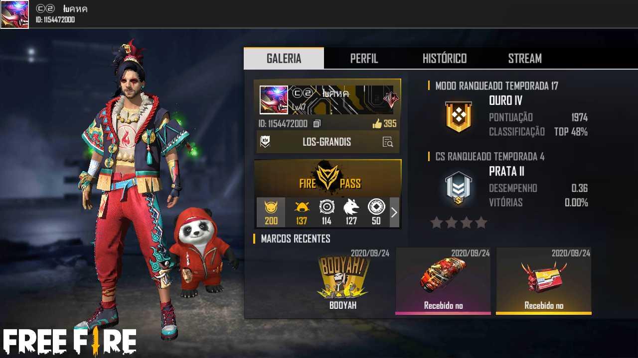 luanacortellete11@gmail.com