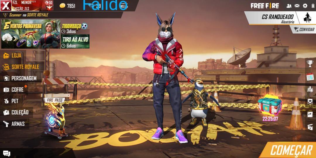 Combinação de skin Incubadora E S17 - Detalhes e visualização