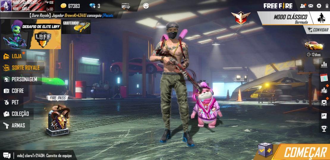 Cal&ccedil;a sobrevivente (cal&ccedil;a verde)-