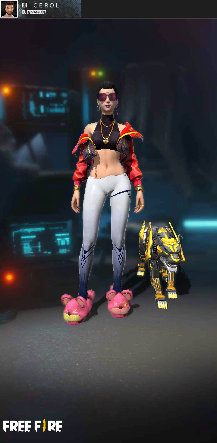 Combina&ccedil;&atilde;o para Hig