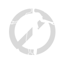 Padrão: Sem mudança de visual no Free Fire - item Comum