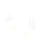 Pose de queda (Paradoxo)