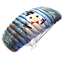 Paraquedas - Inverno