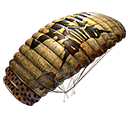 Paraquedas - P.E.R.I.G.O