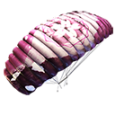 Paraquedas - Flor de ameixa