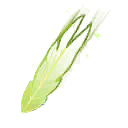 Prancha - Asa de Vaga-lume