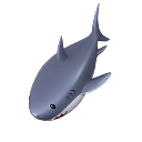 Prancha - Surfando no Tubarão