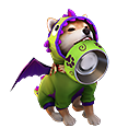 Espólio - Shiba Pidão