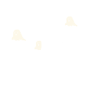 Emote Fantasma Flutuando