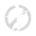 Padrão - Sem disparo final no Free Fire - item Comum