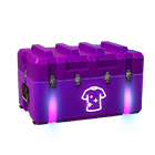 Pacote Escolhas Inicial Roxo 2 no Free Fire - item Épico