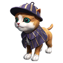 Traje de Pet: Padrão