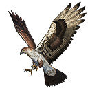 Traje de Pet: Senu (Falcão) no Free Fire - item Épico