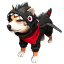 Traje de Pet: Padrão