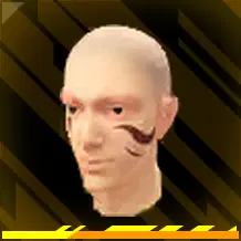 Traços Selvagens (Pintura facial)