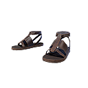 Protetor das Areias (Calçado)