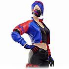 Conjunto Fúria Veloz