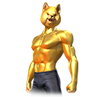 Conjunto Catiorão de Ouro