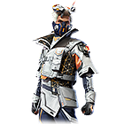 Conjunto Paladino Biônico.