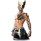 Conjunto Moleque Raposa