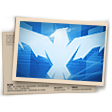Banner Contra Squad T22 (Platina)