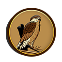 Token Águia do Deserto