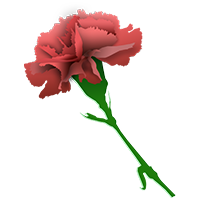 Cravo no Free Fire - item Comum