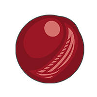 Bola de Cricket