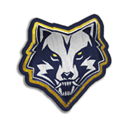 Token Wolfrahh no Free Fire - item Comum