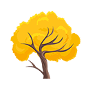 Token Ipê Amarelo no Free Fire - item Comum