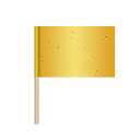 Token Bandeira Amarela