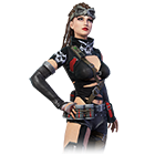 Conjunto Vingadora da Justiça