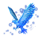 Conjunto Especial Falcão Branco