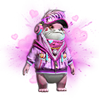 Conjunto Especial Lontreta Sakura