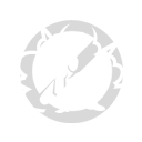 Padrão - Sem super emote no Free Fire - item Comum