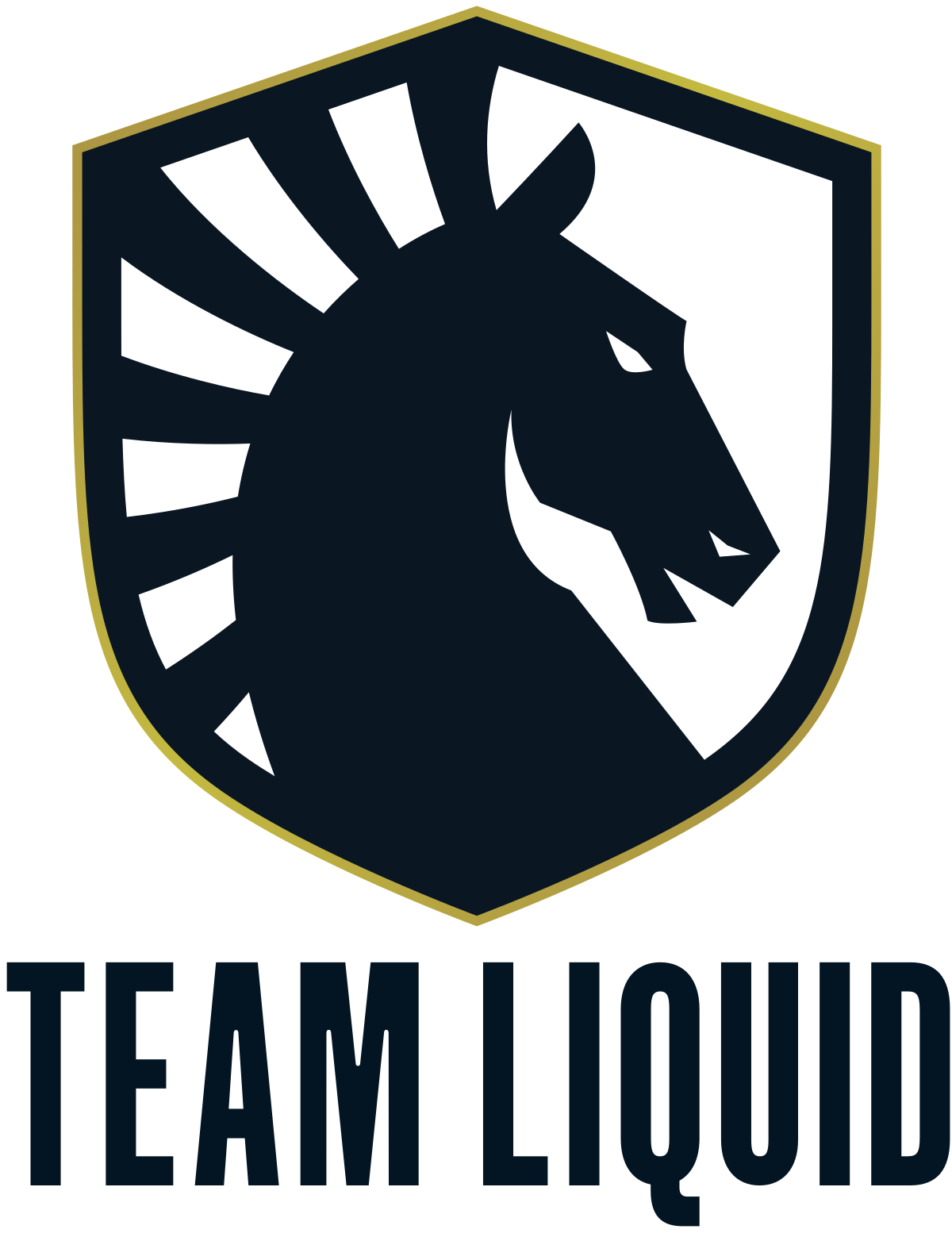 Team Liquid