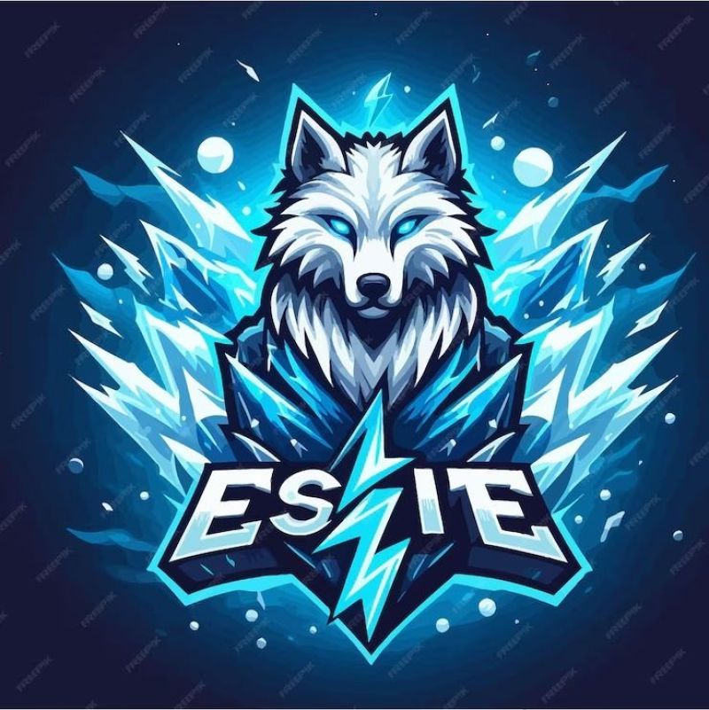 CAMPEONATOS FF 2025 1° TEMPORADA