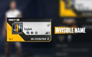 COMO COLOCAR O NOME FREE FIRE PERSONALIZADO NA ASSINATURA DO PERFIL  (IMFLUENCER) 