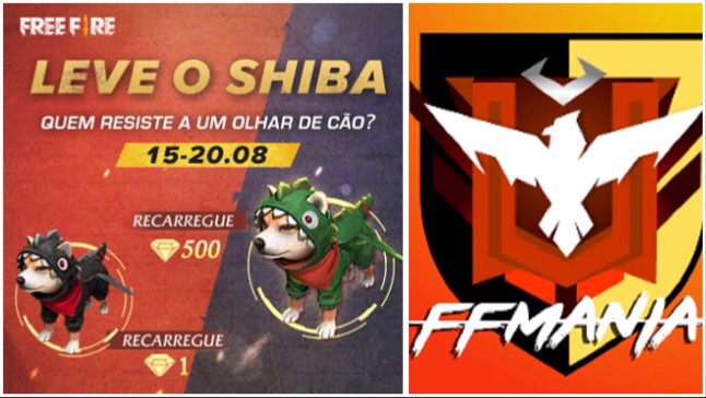 Ganhe o Novo Pet Shiba: Evento de Recarga