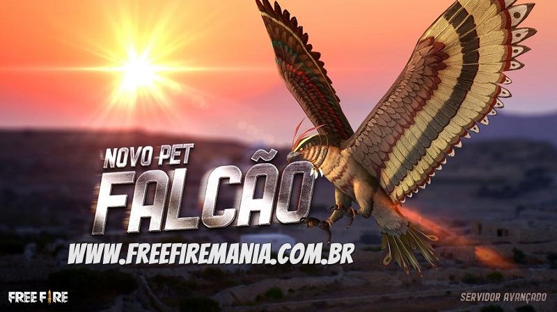 Falcão Free Fire: confira o Pet que voa